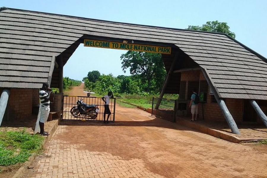 Entrance gate to Mole National Park