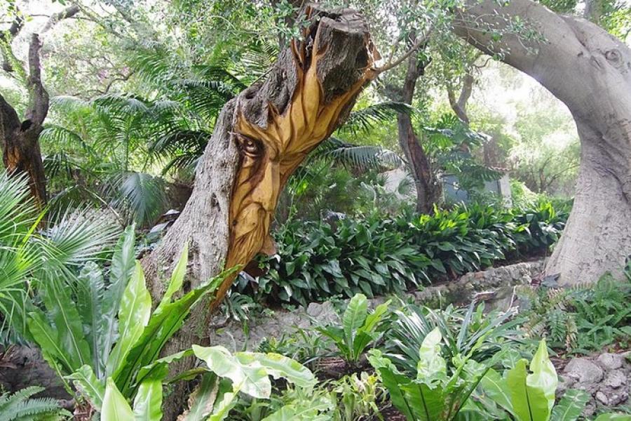 Carved tree, Botanical Gardens in Gibraltar