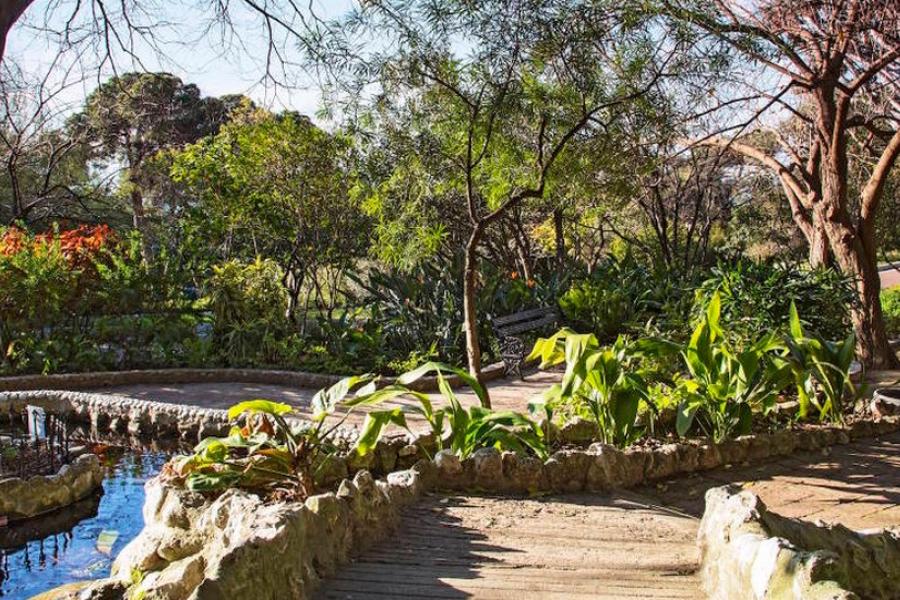 Lions Pond, Botanical Gardens in Gibraltar