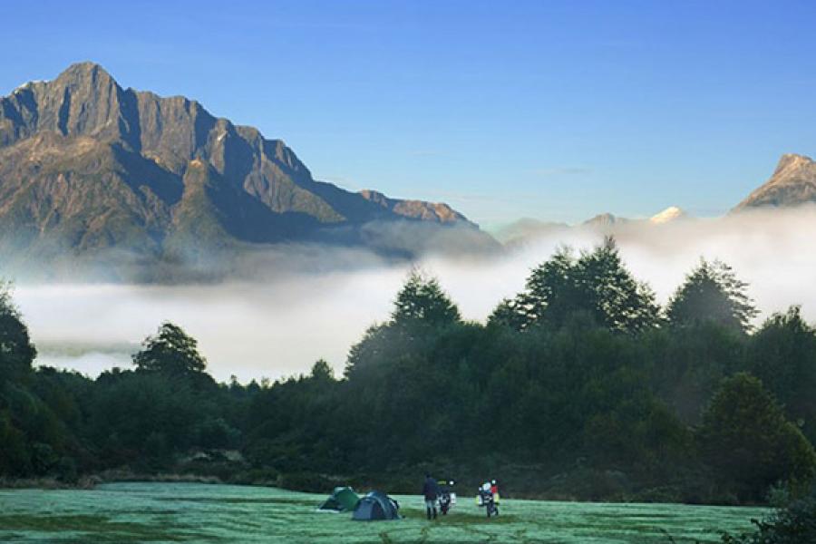 Misty forest and field in Parque Pumalin, somewhere along the Carretera Austral in Chile.