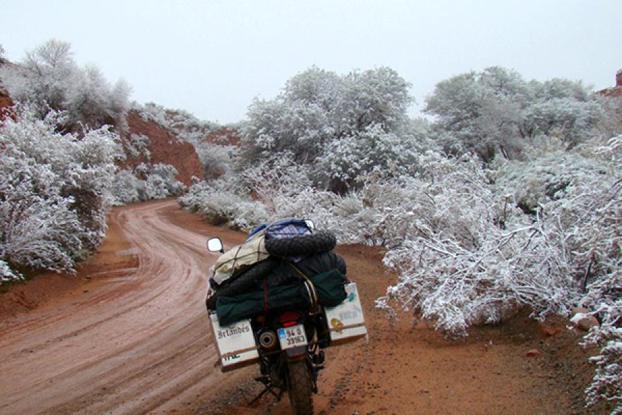 Icy shrubs and dirt road in the San Juan Provence, Argentina.