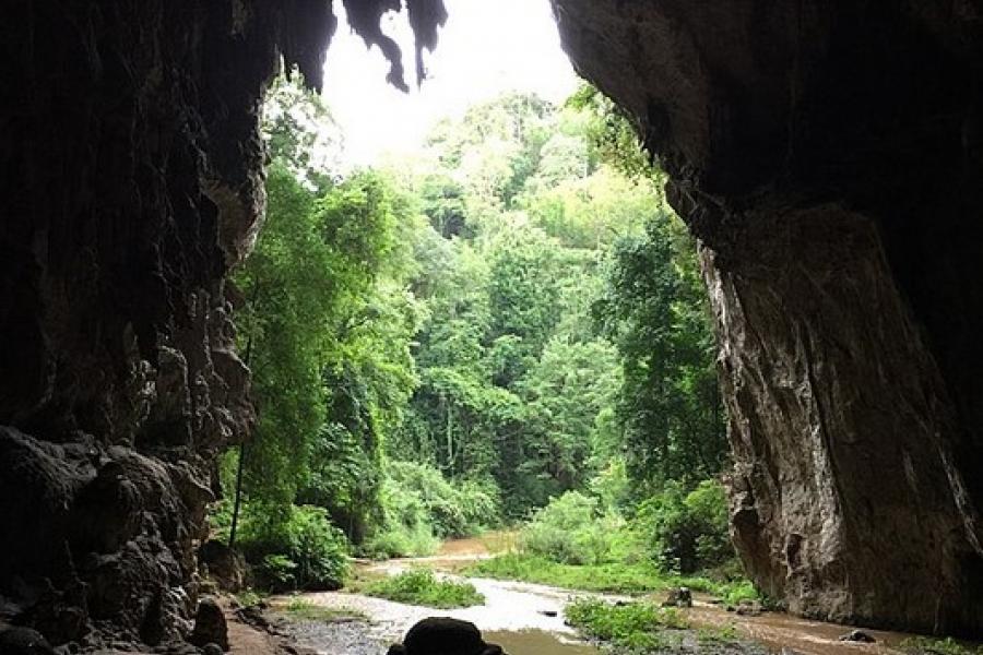 Mae Hong Son Loop, Thailand - Looking out from inside a cave. The view is of lush greenery and a shallow stream.