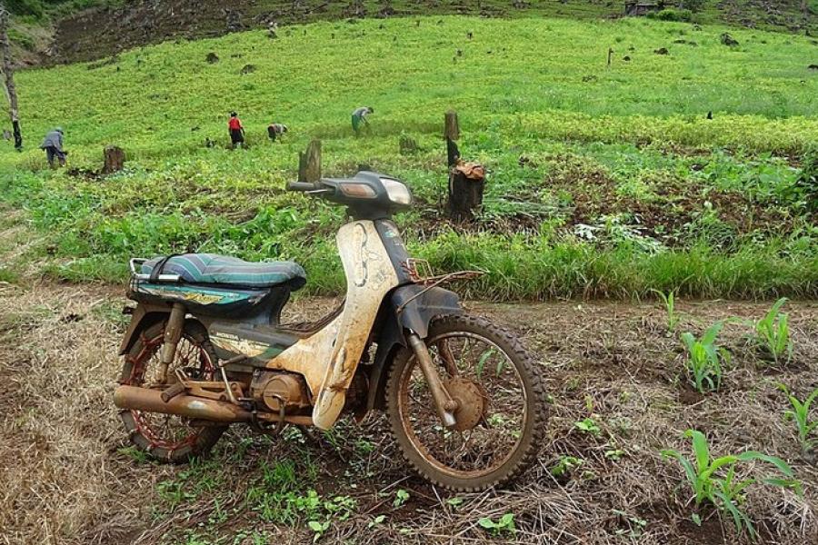 Mae Hong Son Loop, Thailand - Dirty moped parked on a dirt road in front of a field of peanut farming workers.